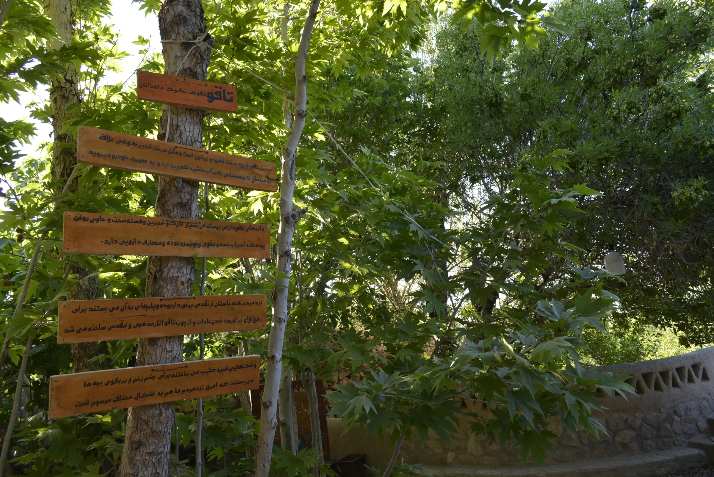Bagh-e Taghoo Eco-lodge