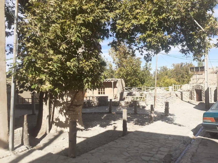 Registration of the ancient plane tree of Qaleh Bala village in Semnan in the National Natural Heritage List