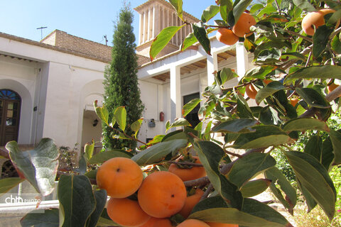 Shahroud County, A Small Continent / From Farahzad Tash and Haft-Rang Spring to Olang Forest