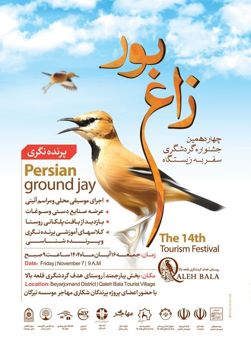 The Fourteenth Tourism Festival of Traveling to the Bustard's Habitat Will Be Held