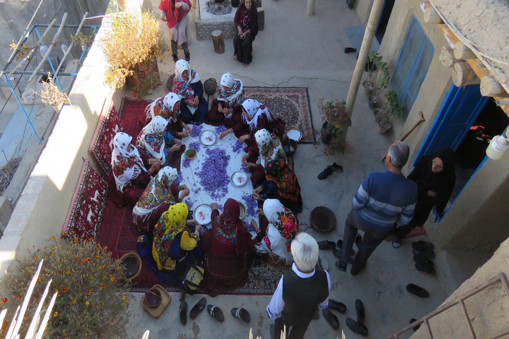 Saffron Harvesting in Qaleh Bala; A Ritual Connecting Women, Nature, and Village Culture