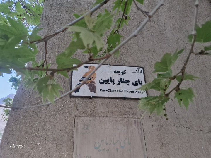 Signage of Qaleh Bala Alley Names Becomes Symbolic