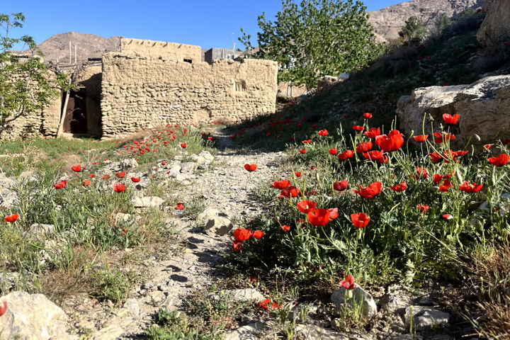 Spring Atmosphere in Qaleh Bala, a Tourism Destination Village