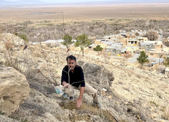 Planting of 50 Mulberry Saplings in the "Sarchil" Heights, a Strategic Step to Strengthen Sustainable Tourism in the World Target Village of Qaleh Bala