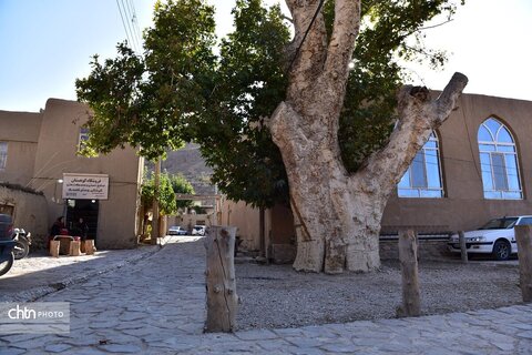 Qaleh Bala; The Jewel of Tourism on the Edge of the Turan Biosphere Reserve