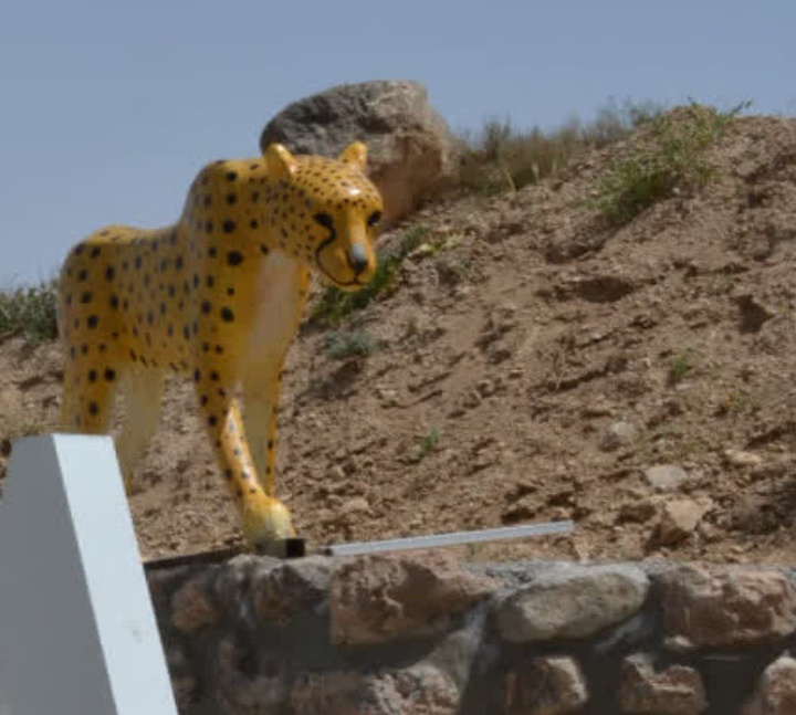 Installation of Asian Cheetah Statue in Qaleh Bala