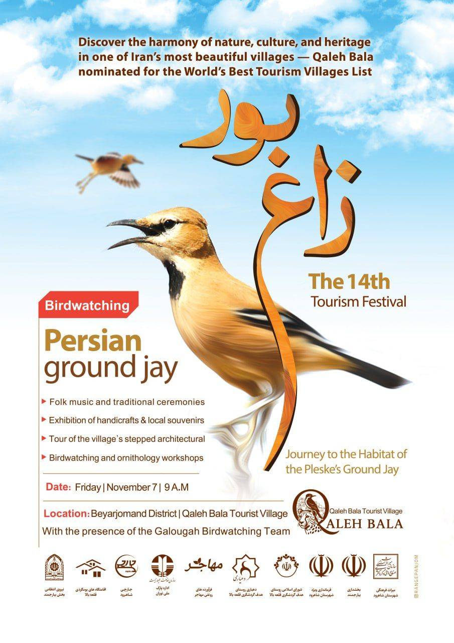 Persian ground jay