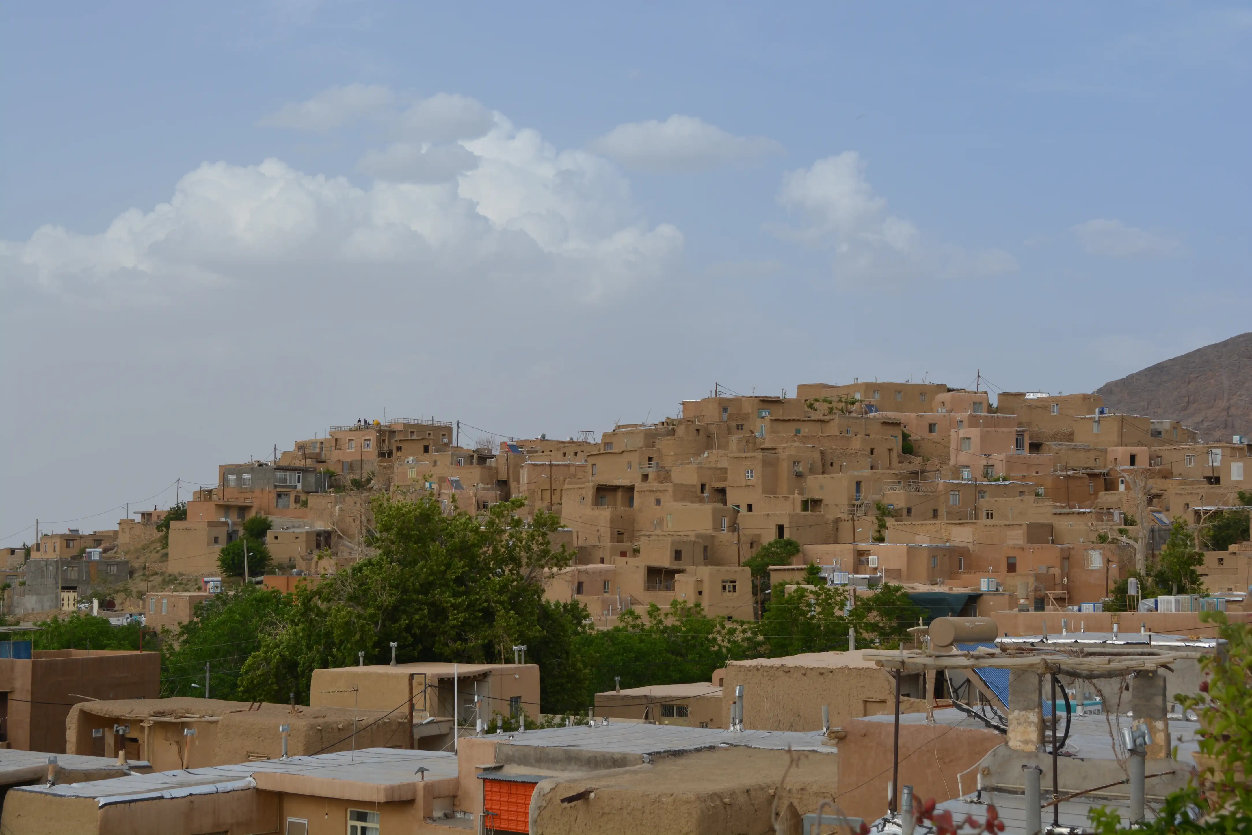 Village Fabric — 11