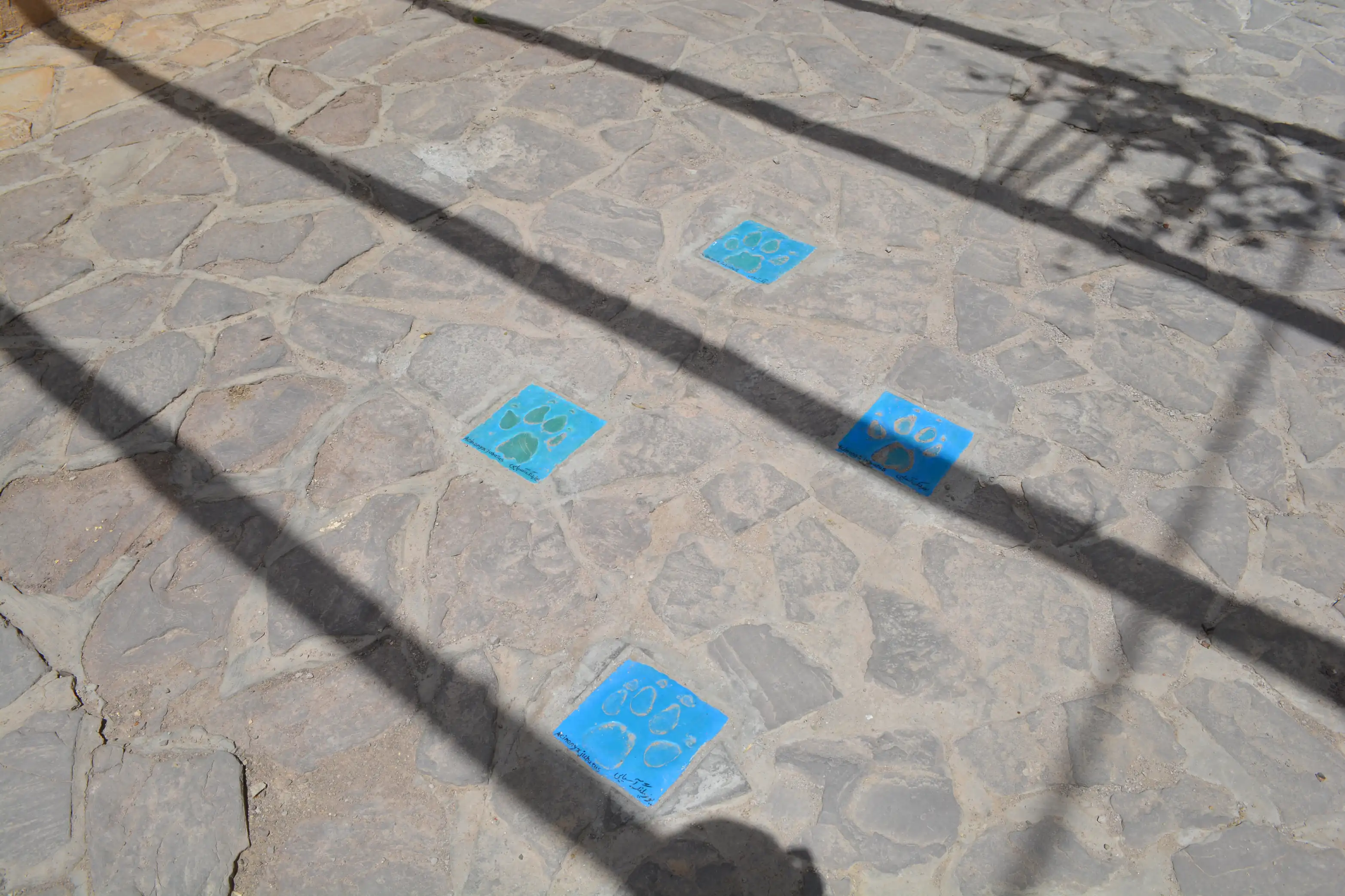 Village Fabric — 20
