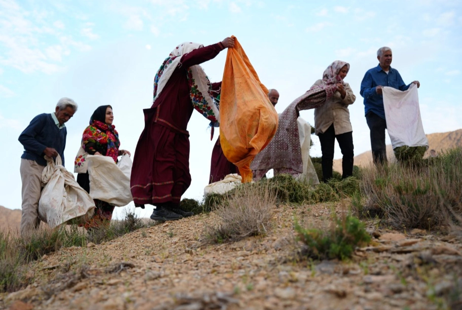 The forage vow ceremony for wildlife around Qaleh Bala