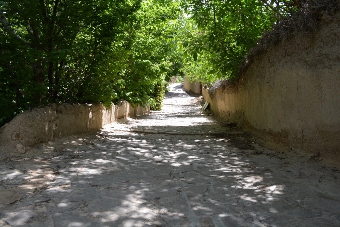 The verdant landscape of the Qaleh Bala gardens