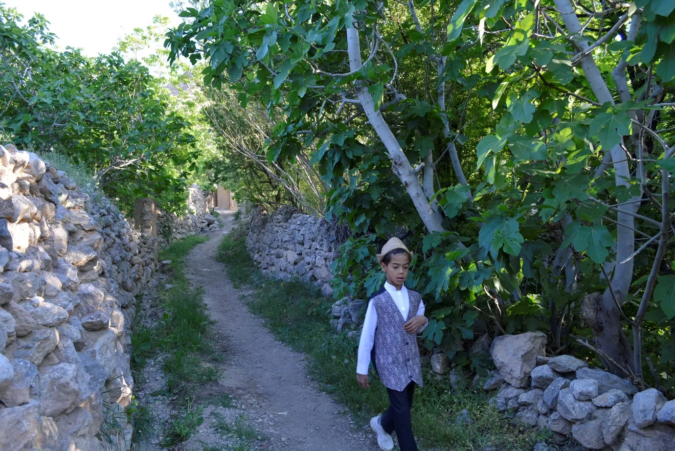 A walking path among the gardens of Qaleh Bala