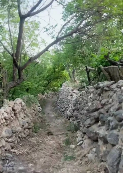 The lush gardens of Qaleh Bala