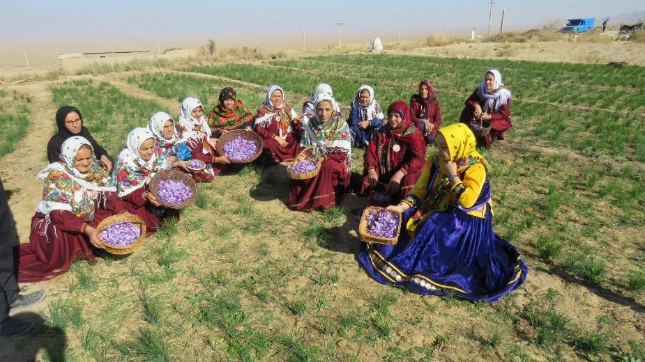Agricultural products of Qaleh Bala village