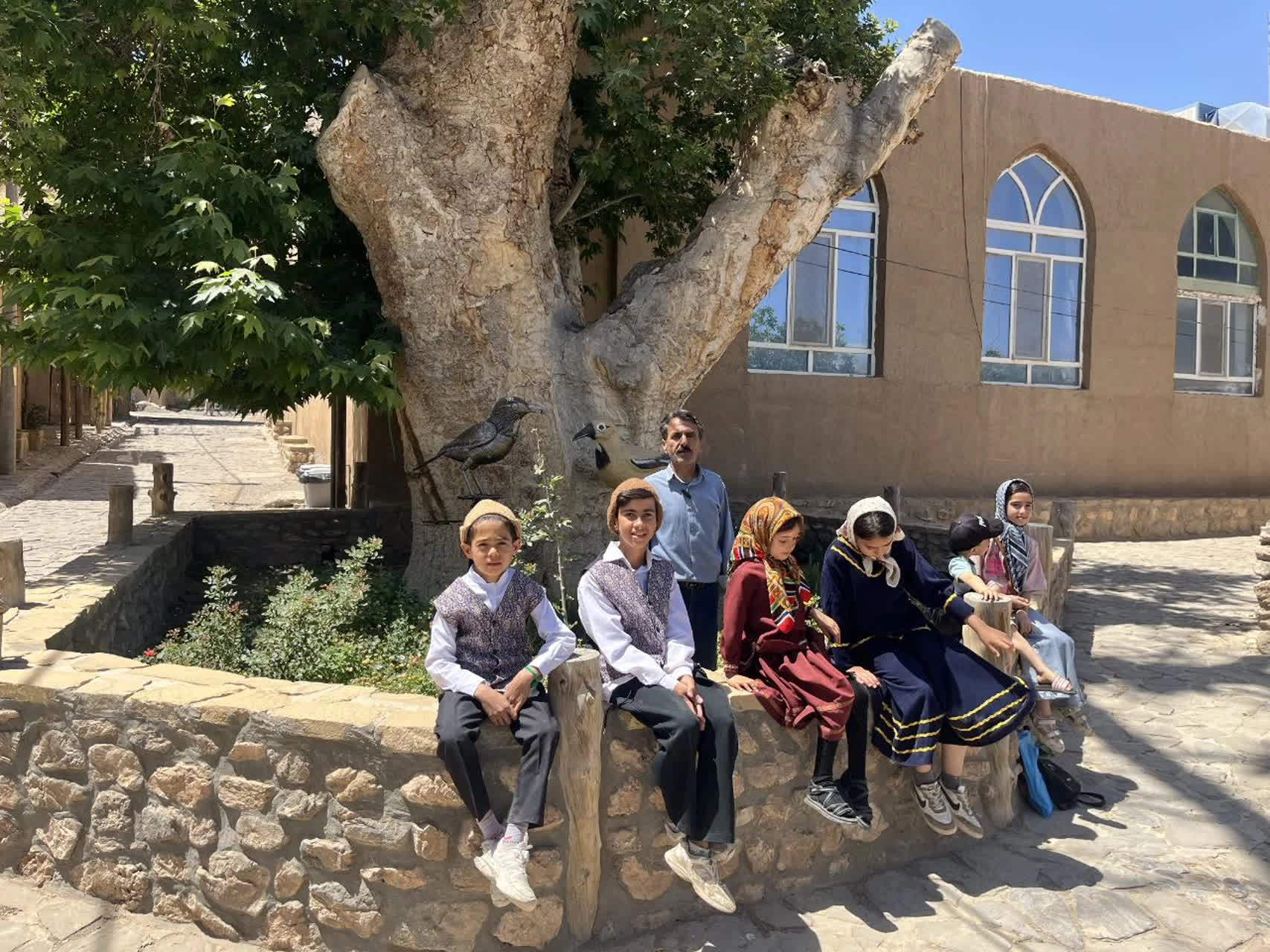 The broad trunk and shade of the Qaleh Bala plane tree